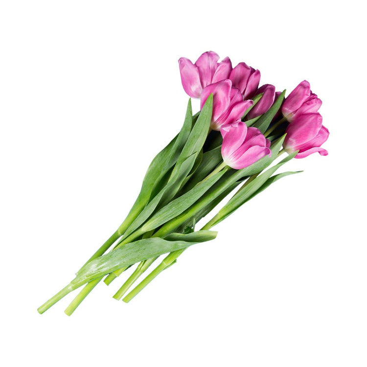 FreshCut Flowers Same day delivery in Klang Valley Pudu Ria Florist