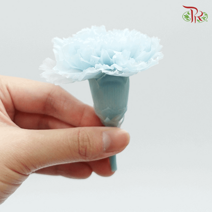 Carnation Preserved - Light Blue ( 0238-0-621 ) - Pudu Ria Florist