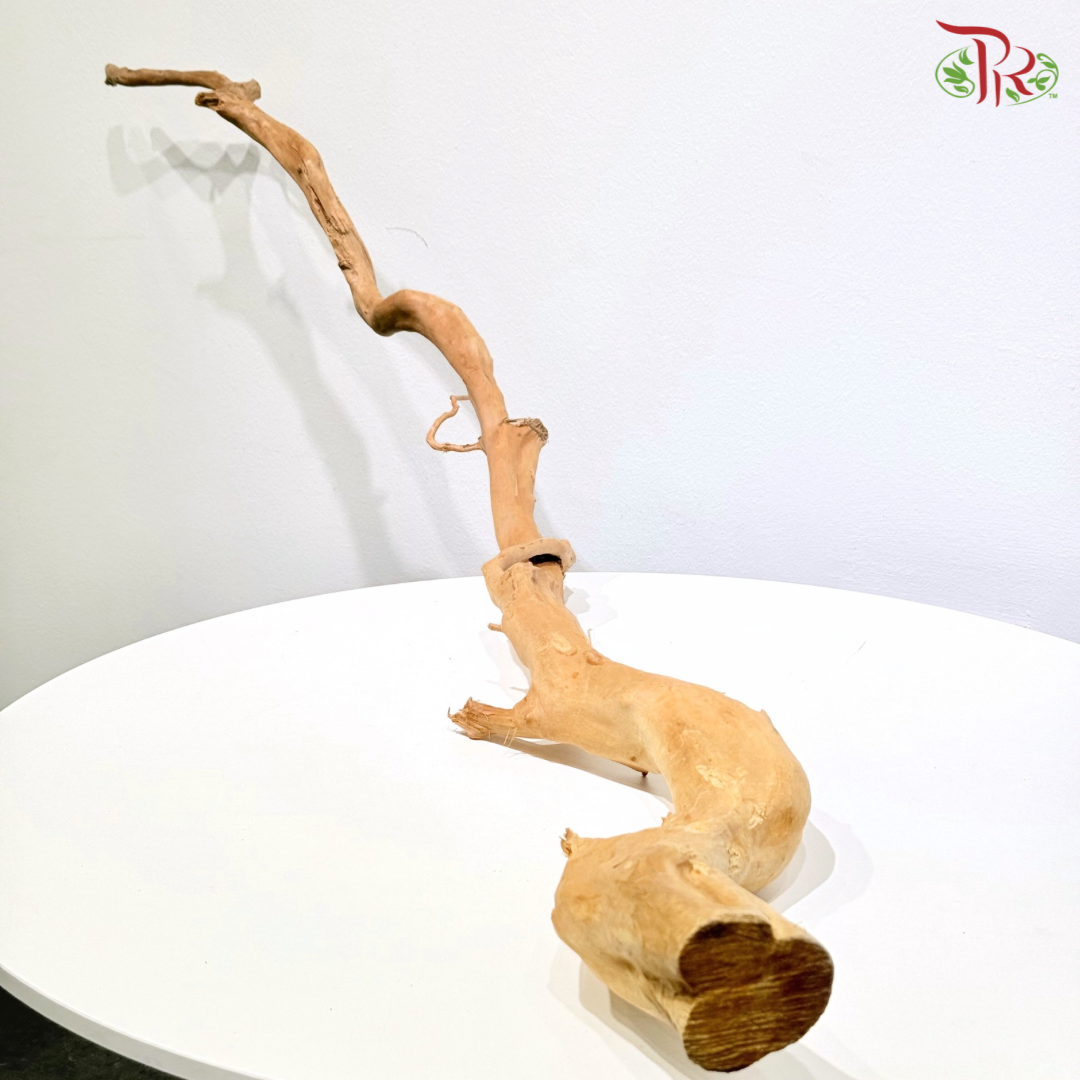 FINE DUJUANGEN ROOT《精品杜鹃根》1KG