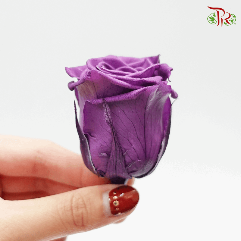 10 Bloom Rose- Purple - Pudu Ria Florist