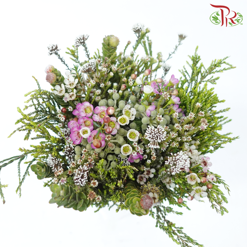 Safari Cape Cone Mix Bouquet #24 (Per Bunch) ***Random Choose Cones ...