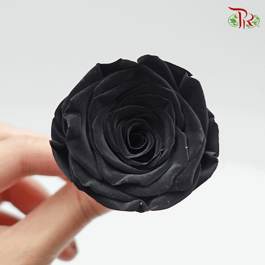 10 Bloom Rose - Black-Black-China-prflorist.com.my