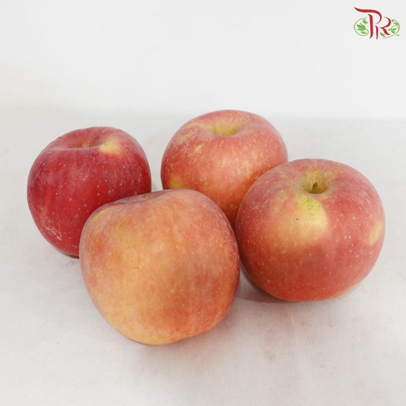 Crispy Red Apple《红苹果》(Per Pack)