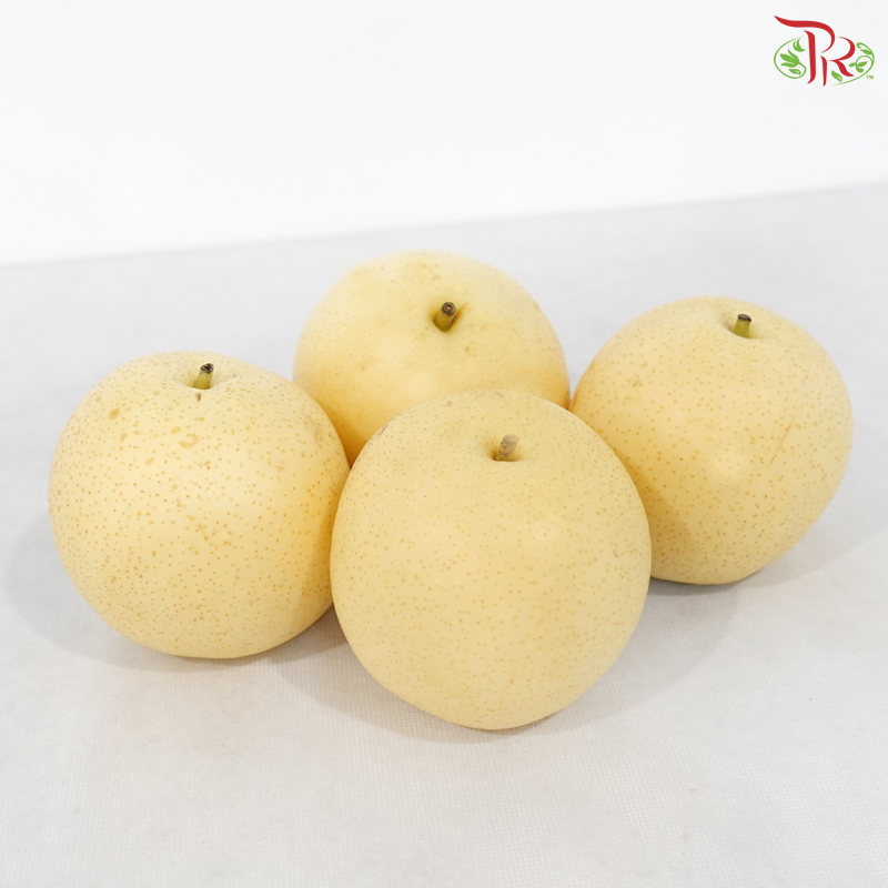 Century Pear《世纪梨》（Per Pack)