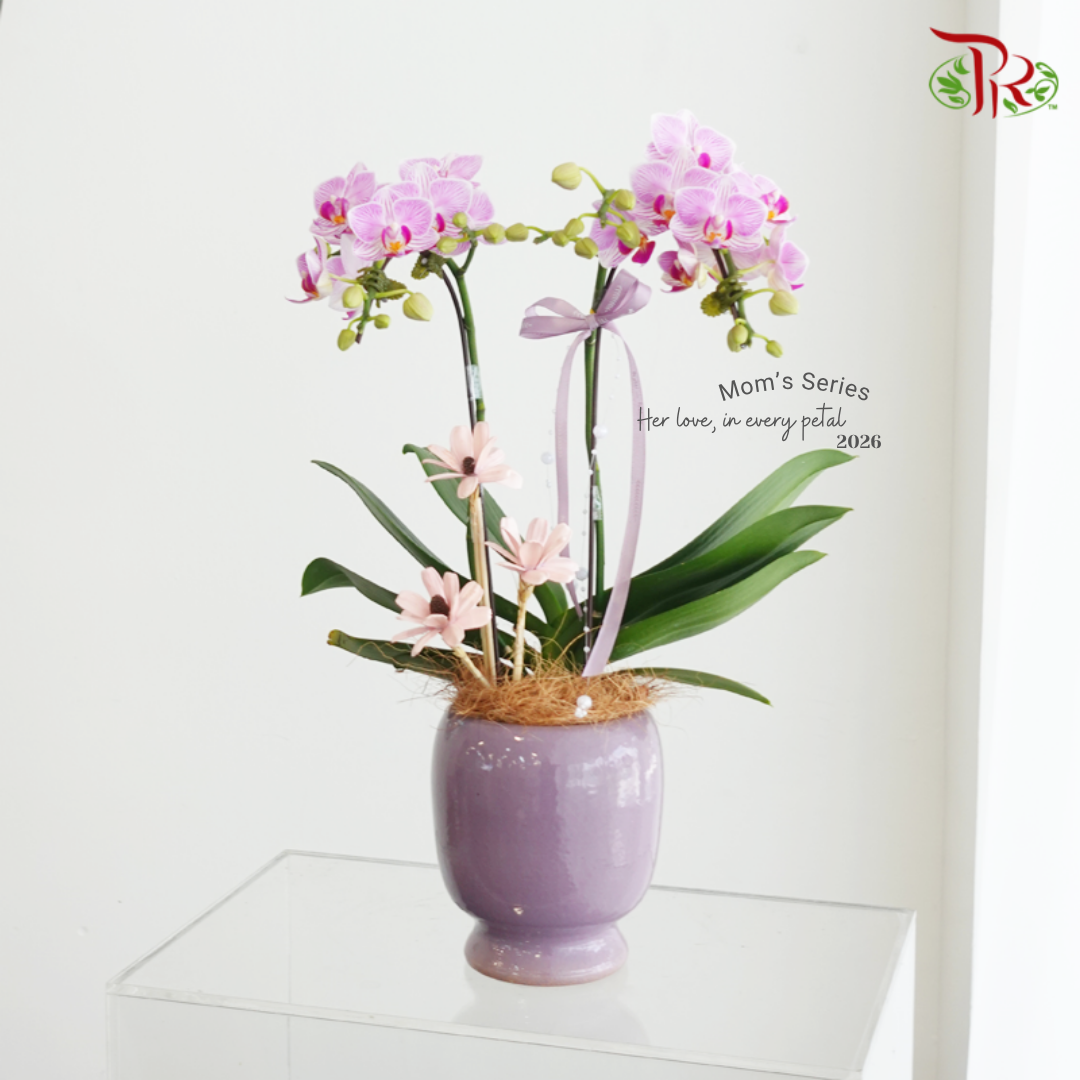 【Mum's Series】Petals for Mama 《花语予母》