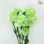 Carnation Dyed - Green (8-10 Stems)