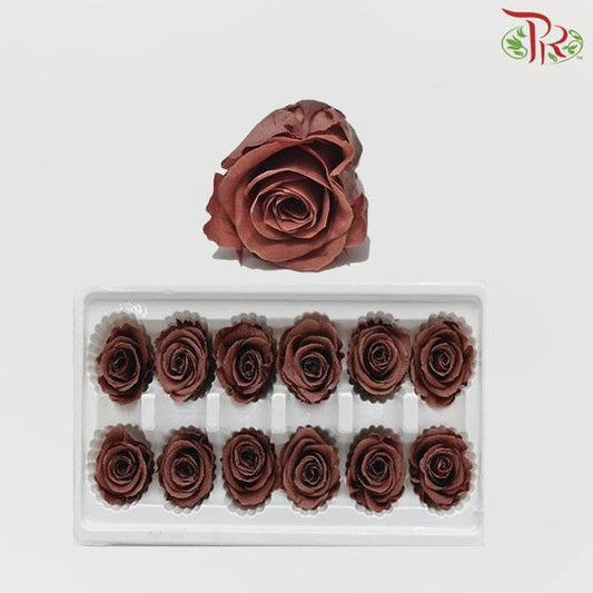 12 Bloom Rose - Brown-Brown-China-prflorist.com.my