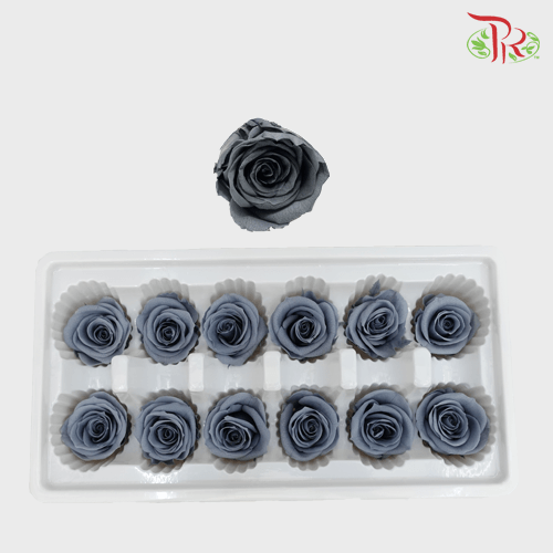 12 Bloom Rose - Grey-Grey-China-prflorist.com.my