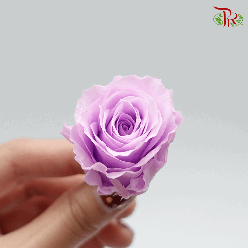 12 Bloom Rose - Light Purple-Purple-China-prflorist.com.my