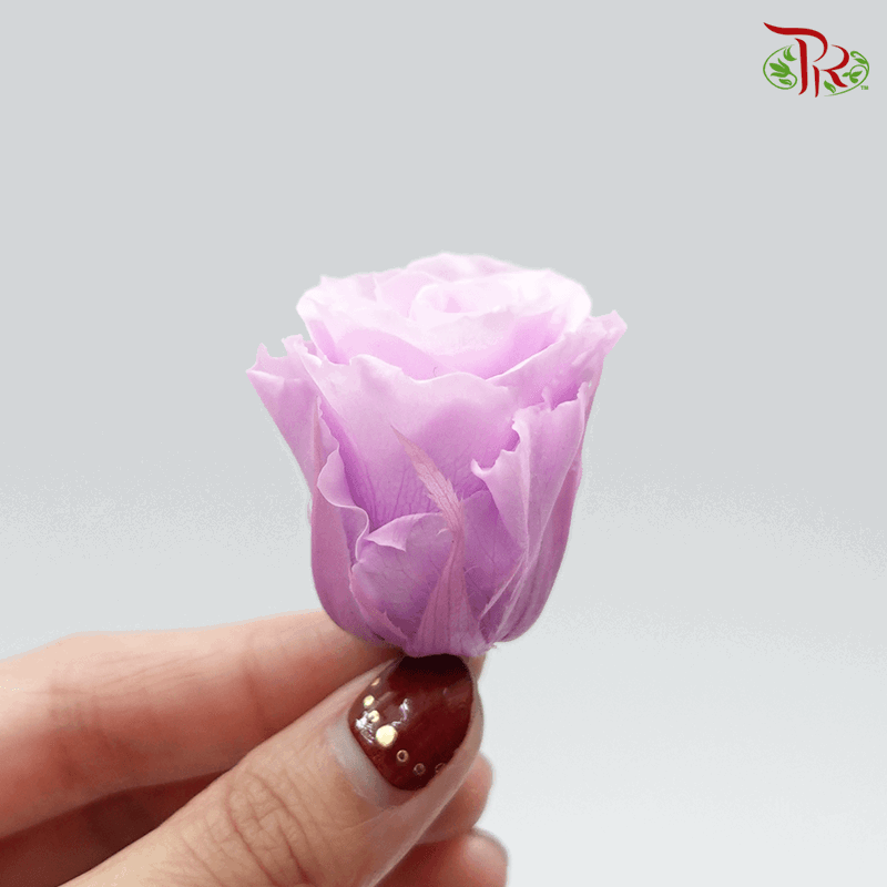 12 Bloom Rose - Light Purple-Purple-China-prflorist.com.my