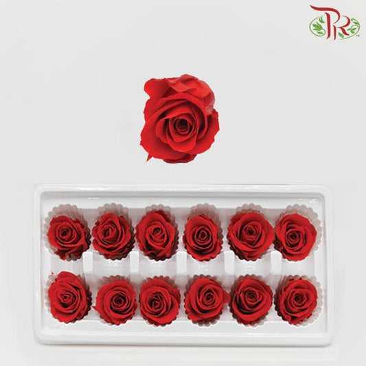 12 Bloom Rose - Red-Red-China-prflorist.com.my
