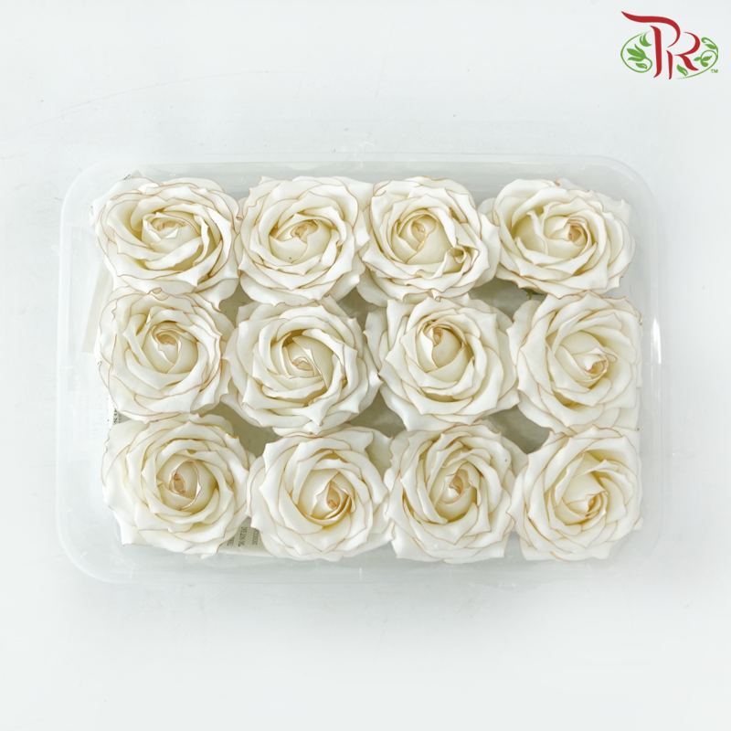 12 Blooms Premium Soap Flower - Cream With Gold Liner (FBA081 #3)-Cream-Pudu Ria Florist-prflorist.com.my