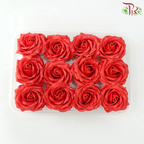 12 Blooms Premium Soap Flower - Red With Gold Liner (FBA081)-Red-Pudu Ria Florist-prflorist.com.my