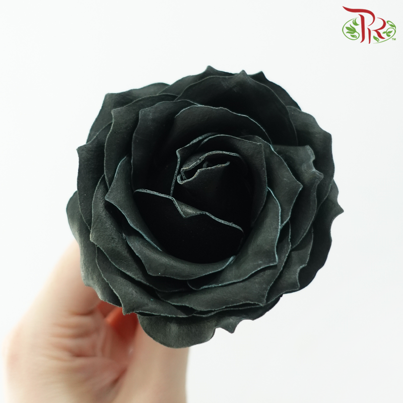 12 Blooms Premium Soap Flower - Black (FBA080 #5)