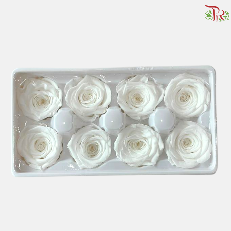 8 Blooms Preserved Roses - White