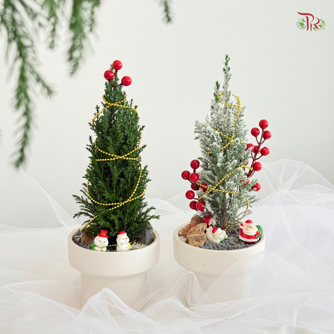 【XMAS 2025】Forest of Christmas 圣诞之森