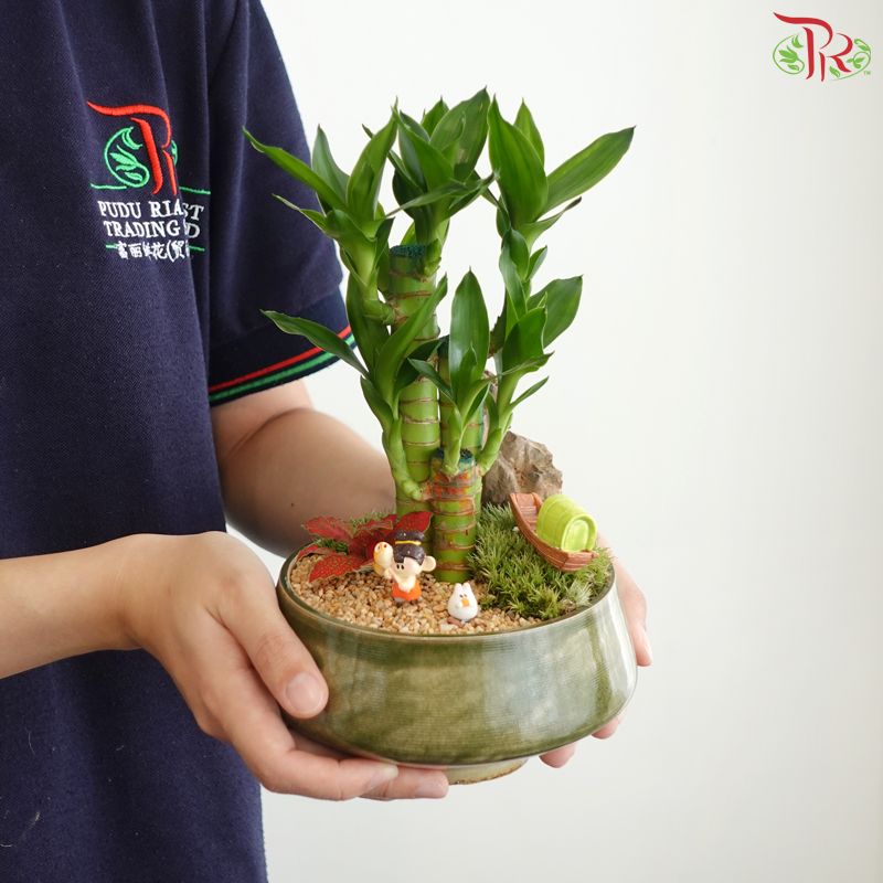 【中秋系列 Mid Autumn Series】Bamboo Blessings Under the Full Moon《月满竹安》