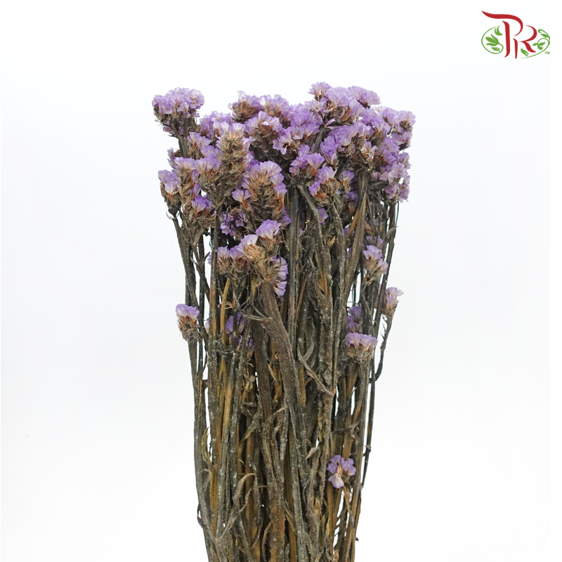 Dry Statice - Purple (Per Bunch) - Pudu Ria Florist