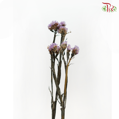 Dry Statice - Purple (Per Bunch) - Pudu Ria Florist