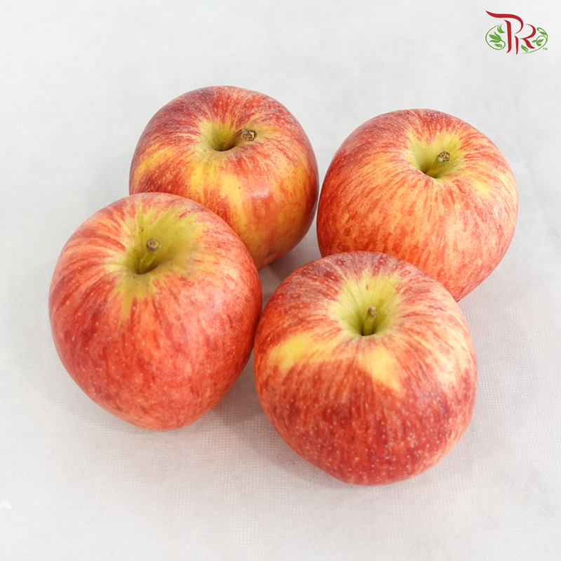Red Apple《红苹果》(Per Pack)