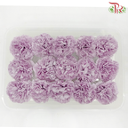 15 Bloom Carnations Soap Flower - Light Purple-Light Purple-Pudu Ria Florist-prflorist.com.my