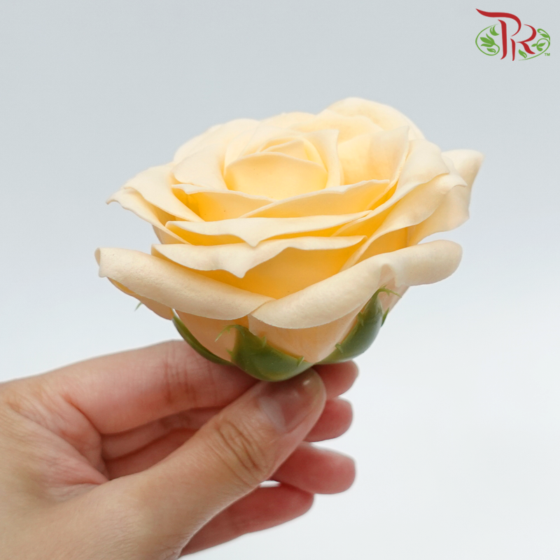 15 Bloom Roses Soap Flower - Orange-Orange-Pudu Ria Florist-prflorist.com.my