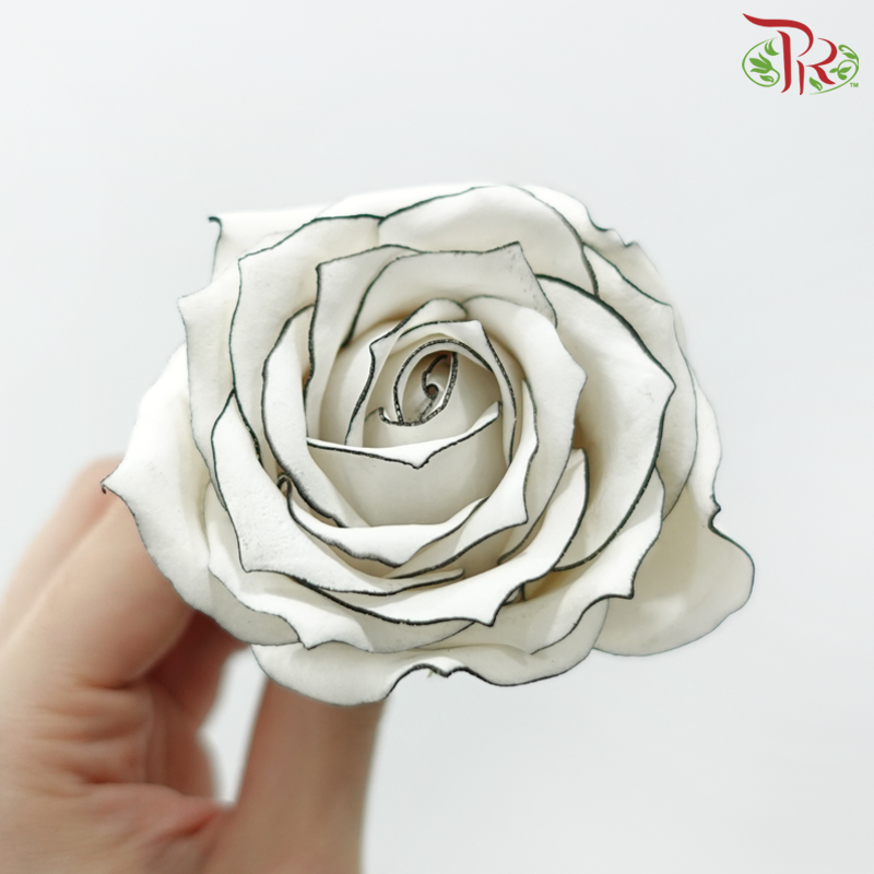 Soap Premium Rose Flower - White With Black Liner ( 15 blooms )