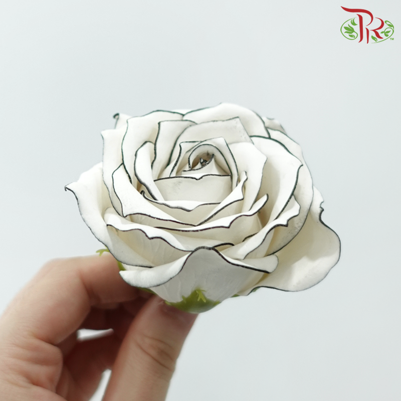 15 Blooms Premium Soap Flower - White With Black Liner