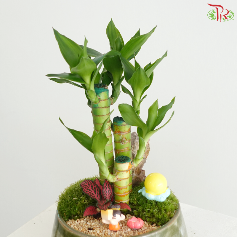 【中秋系列 Mid Autumn Series】Bamboo Blessings Under the Full Moon《月满竹安》
