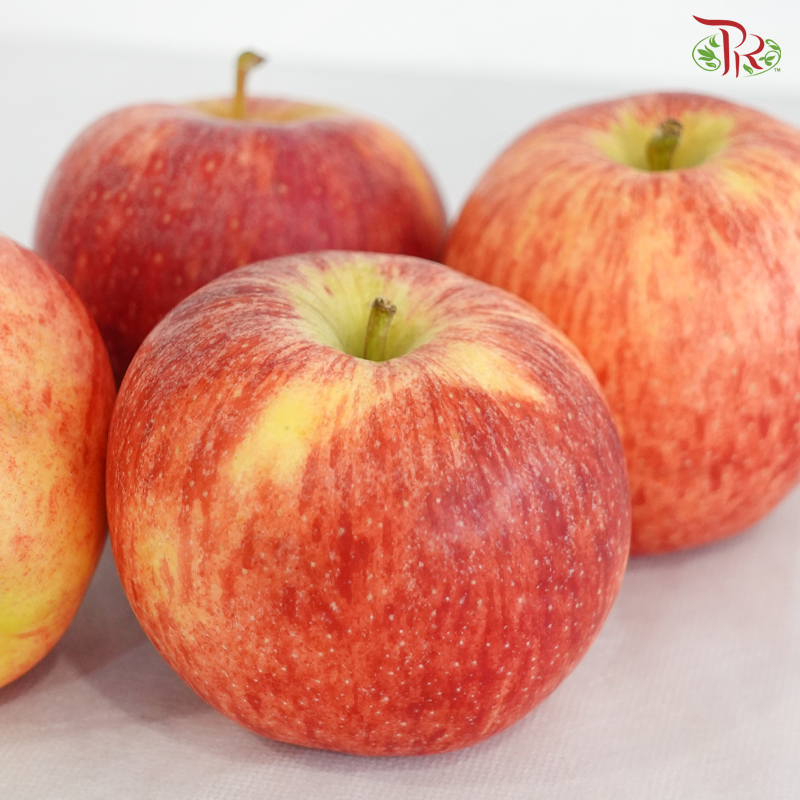 Red Apple《红苹果》(Per Pack)