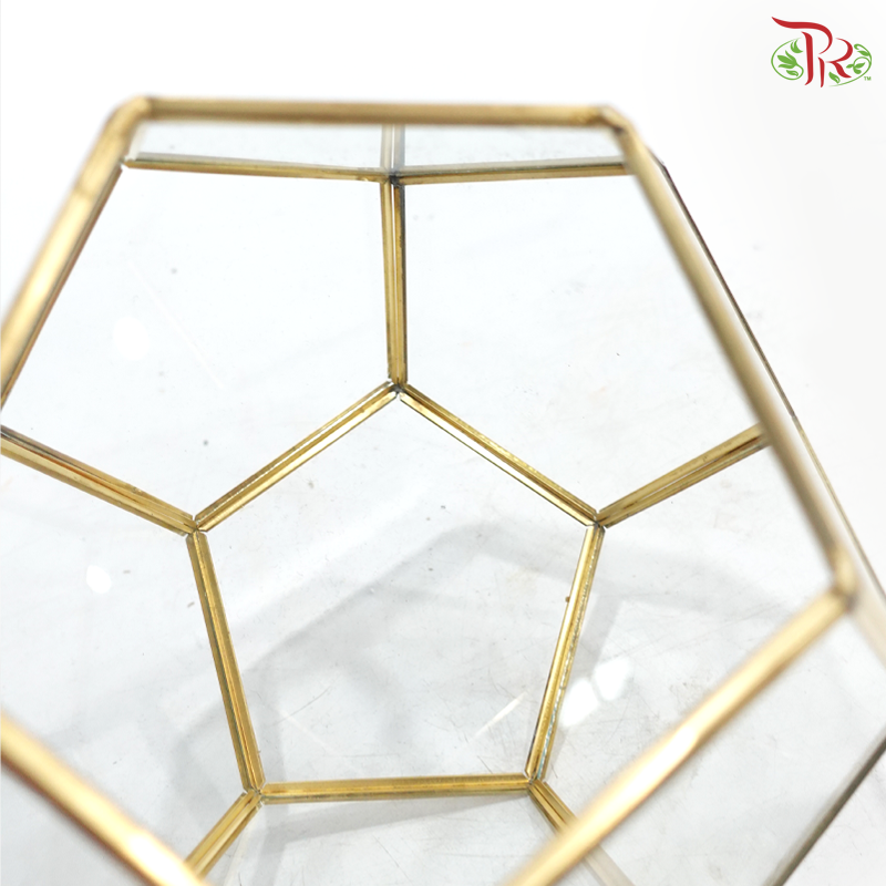 16Y1915J - Glass Hexagon Terrarium Vase (Gold Color)