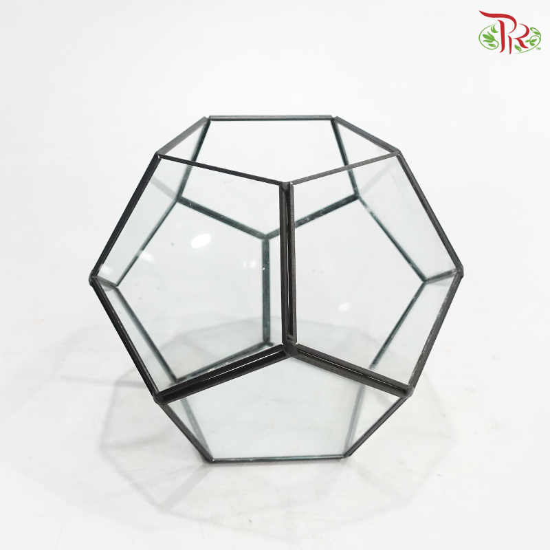 16Y1918G - Glass Hexagon Terrarium Vase (Grey Colour)