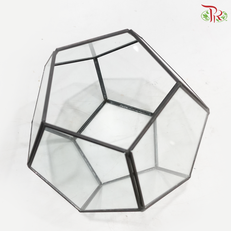 16Y1918G - Glass Hexagon Terrarium Vase (Grey Colour)