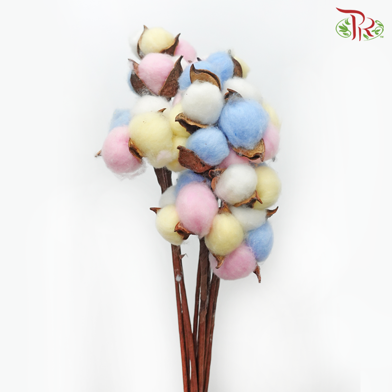 Artificial Cotton Flower - Rainbow (10 Stems) - Pudu Ria Florist