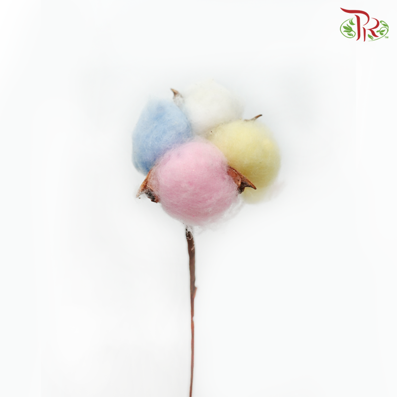Artificial Cotton Flower - Rainbow (10 Stems) - Pudu Ria Florist