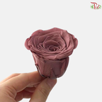 Preserved Roses - Azuki ( 8 Blooms  )