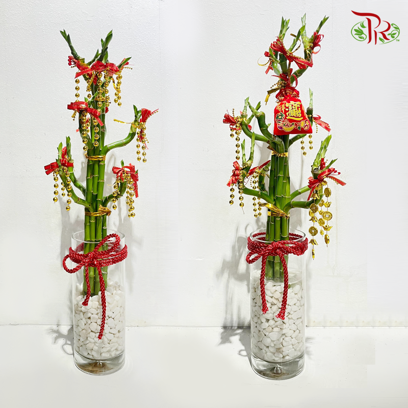 Thousand hand Lucky Bamboo Arrangement In Transparent Vase With Stone (Randomly Selected Design & CNY Ornaments)