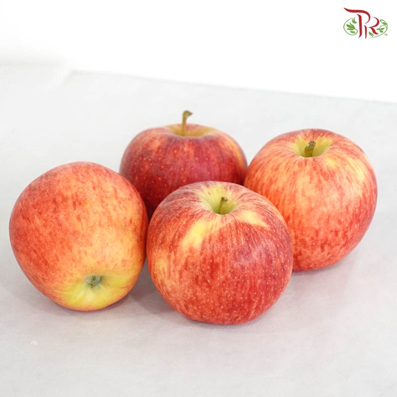 Red Apple《红苹果》(Per Pack)