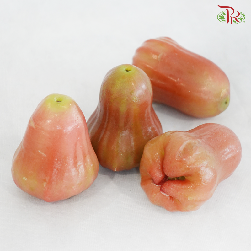 Rose Apple / Jambu《水蓊 / 莲雾》(Per Pack)