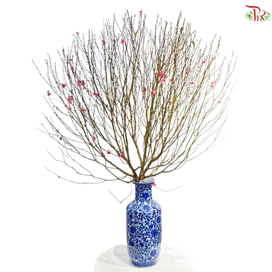 Cherry Blossom - (S & M & L & XL & Jumbo)