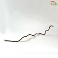 Dragon Vine Wood 过江龙 (Width: 2-3cm) (1 KG)