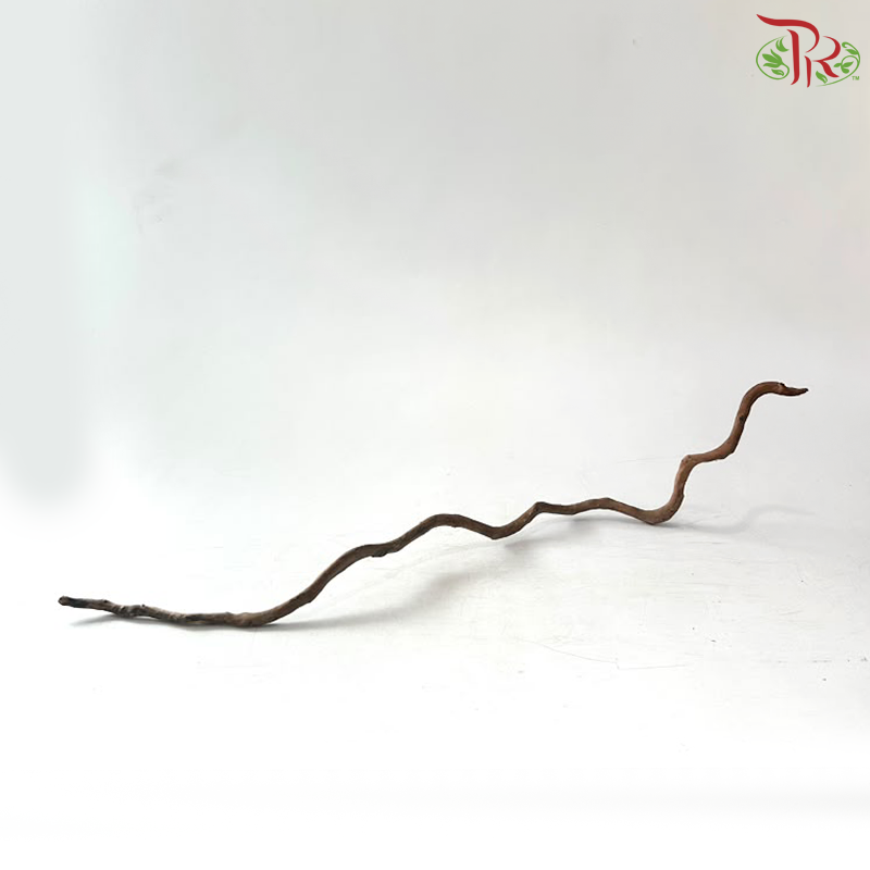 Dragon Vine Wood 过江龙 (Width: 2-3cm) (1 KG)