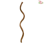 Corylus (4-6FT)  (Per Stem)