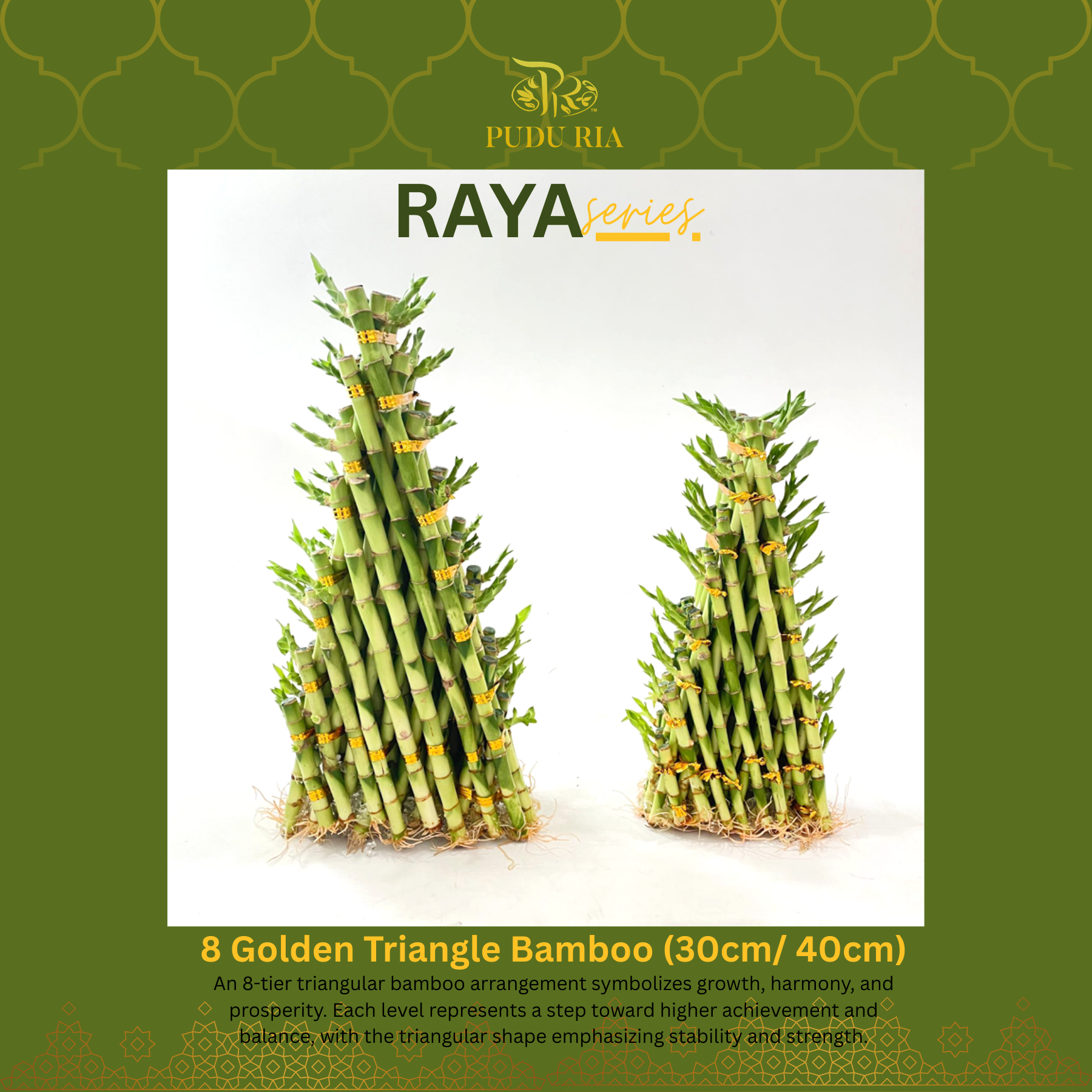 【RAYA 2026】8 Golden Triangle Bamboo (30cm/ 40cm)