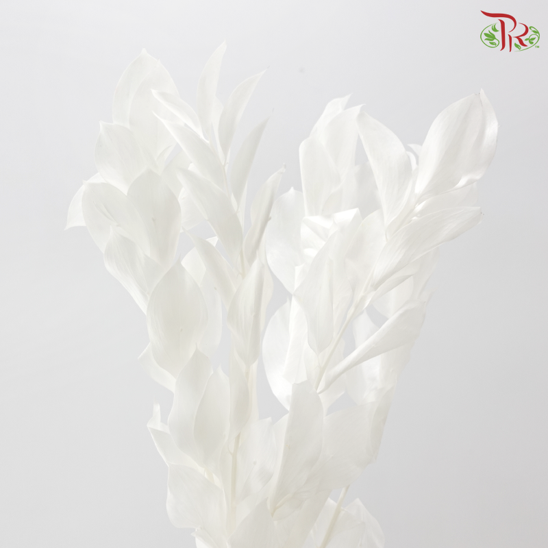Dry Orange Leaf Dyed - White (Per Bunch)
