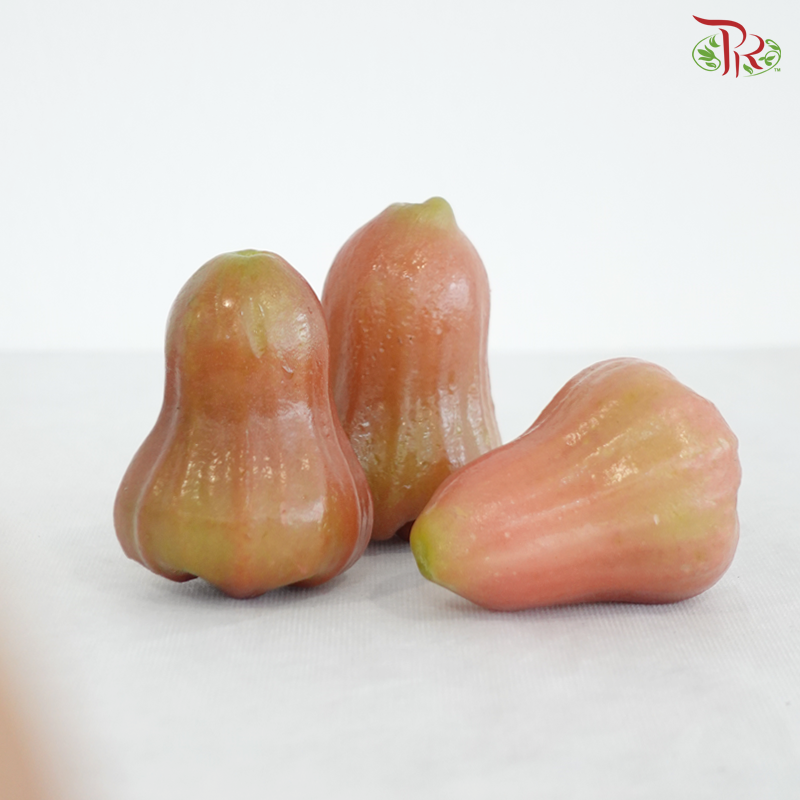 Rose Apple / Jambu《水蓊 / 莲雾》(Per Pack)