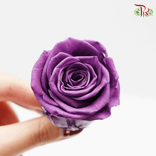 21 Bloom Rose - Purple-China-prflorist.com.my