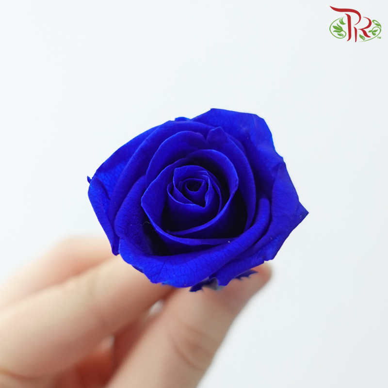 21 Blooms Roses - Blue-Blue-China-prflorist.com.my