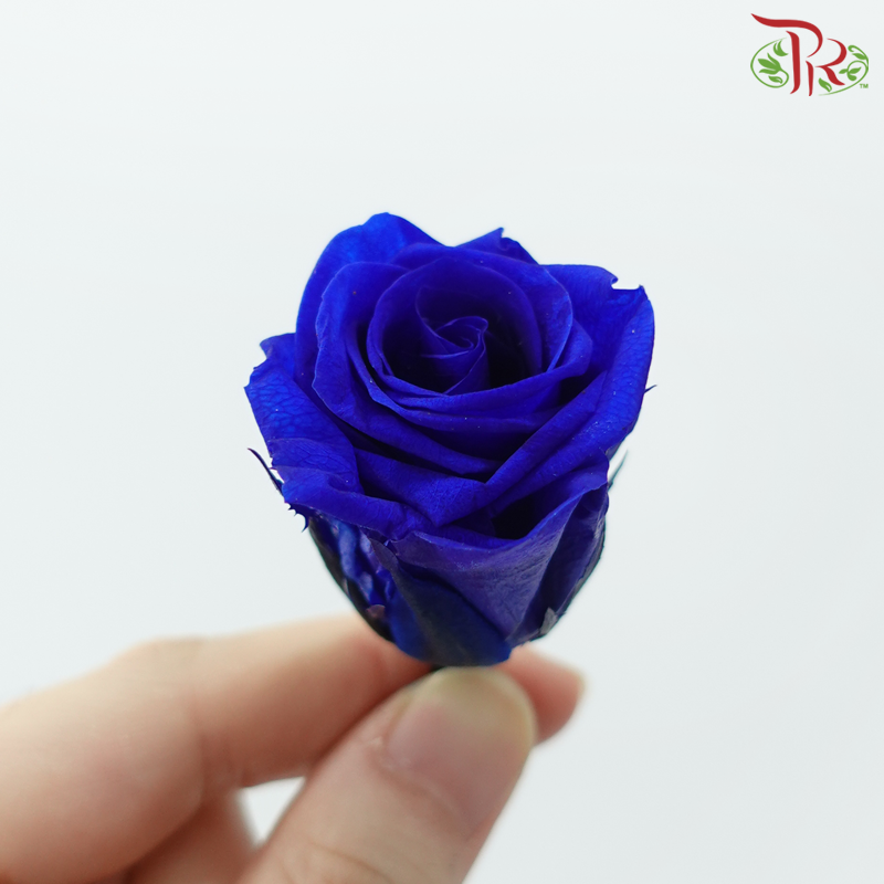 21 Blooms Roses - Blue-Blue-China-prflorist.com.my