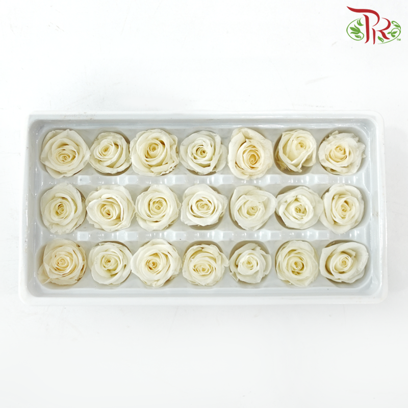 21 Blooms Roses - Cream-Cream-China-prflorist.com.my